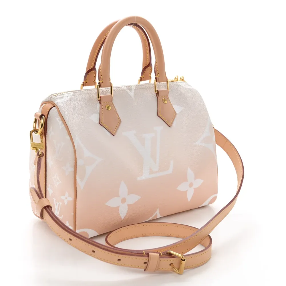 Speedy Bandoulière 25 1:1 Replica Monogram Canvas Pastel Summer Tote - Image 8