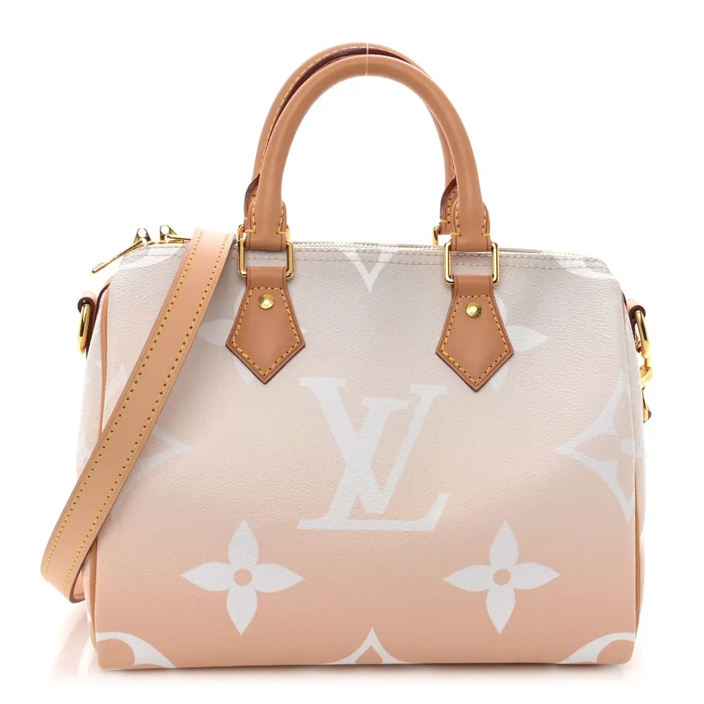 Speedy Bandoulière 25 1:1 Replica Monogram Canvas Pastel Summer Tote