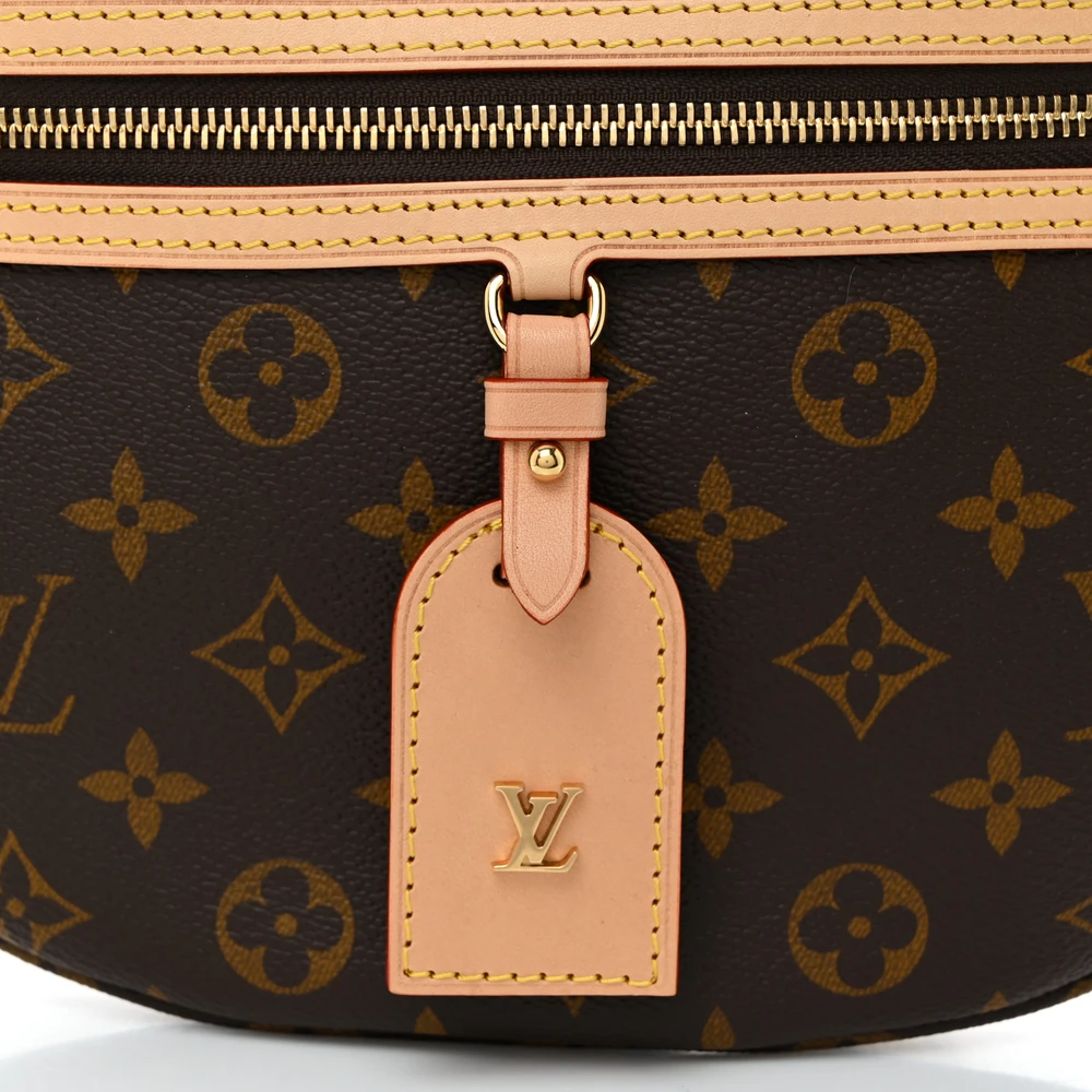 SuperClone 1:1 Quality Replica High Rise Bumbag with Gold Hardware - Image 5