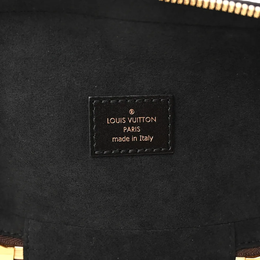 Vanity PM 1:1 Replica Louis Vuitton Monogram Canvas Crossbody bag with Gold Hardware - Image 7