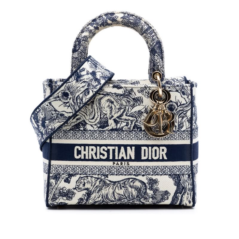 Front view of the blue Toile de Jouy embroidered Medium Lady D-Lite bag